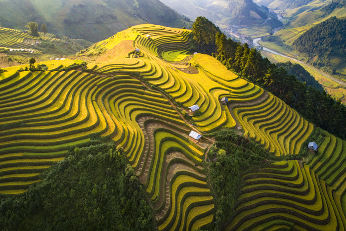 Mu Cang Chai Yen Bai